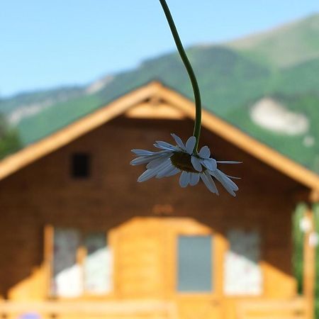 Mountain Cabins เมสเตีย ภายนอก รูปภาพ