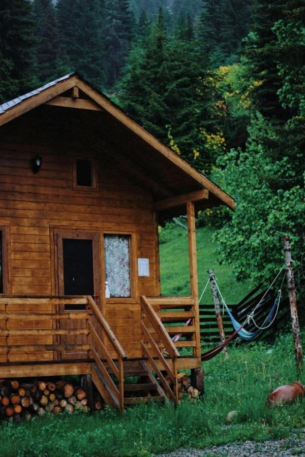 Mountain Cabins เมสเตีย ภายนอก รูปภาพ