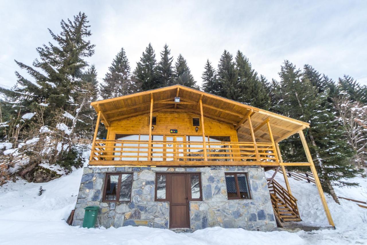 Mountain Cabins เมสเตีย ภายนอก รูปภาพ
