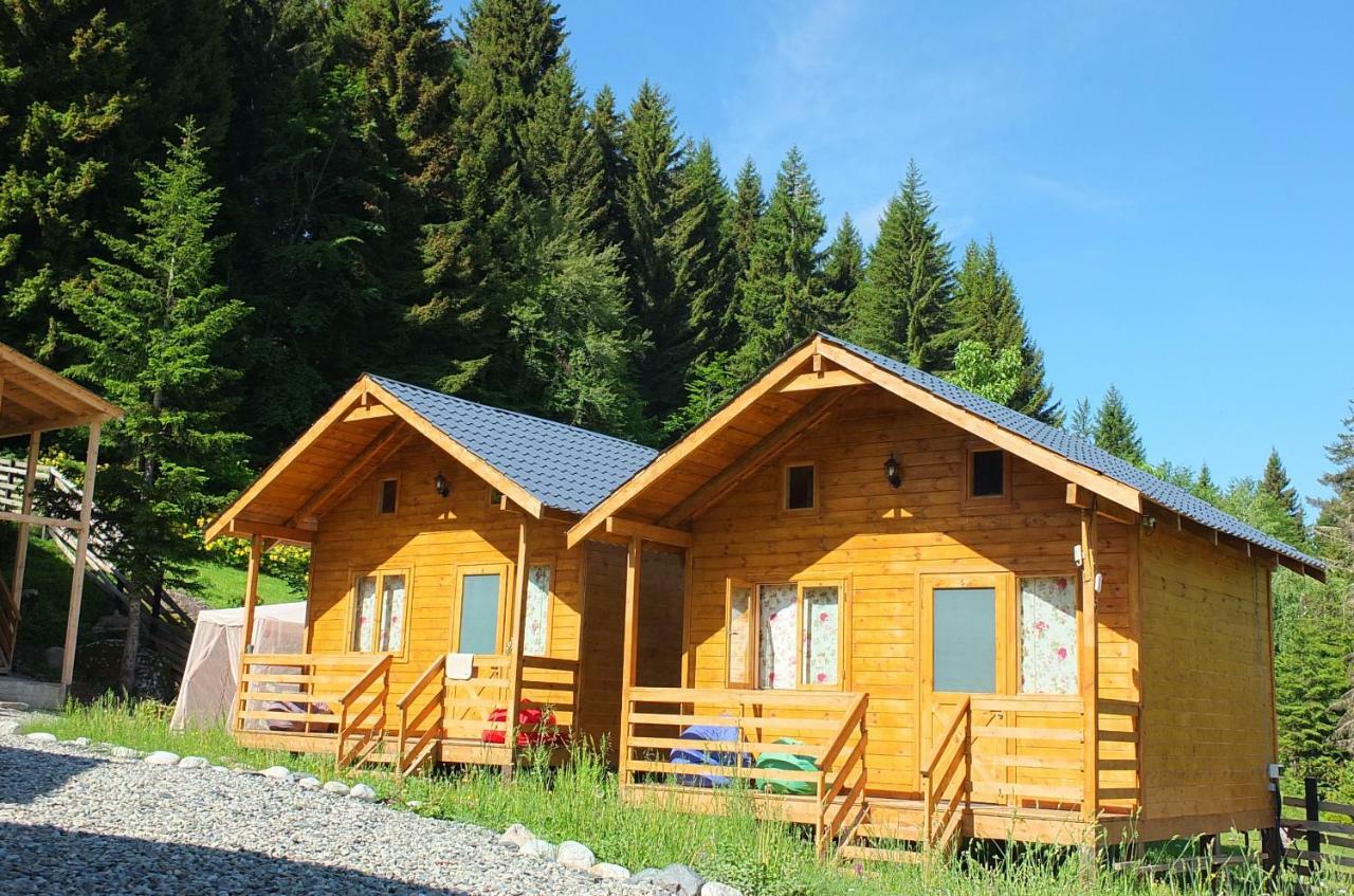 Mountain Cabins เมสเตีย ภายนอก รูปภาพ