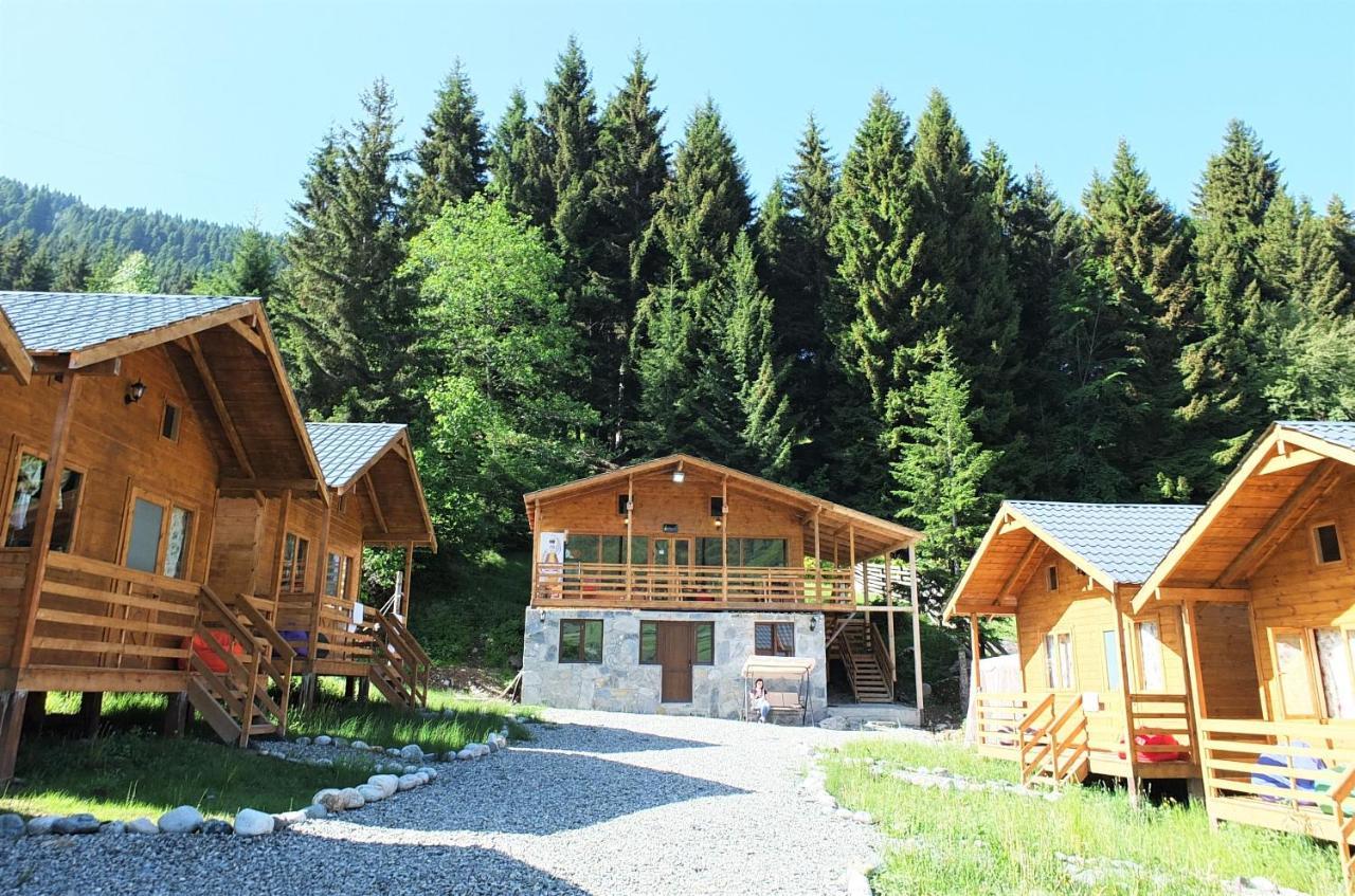 Mountain Cabins เมสเตีย ภายนอก รูปภาพ